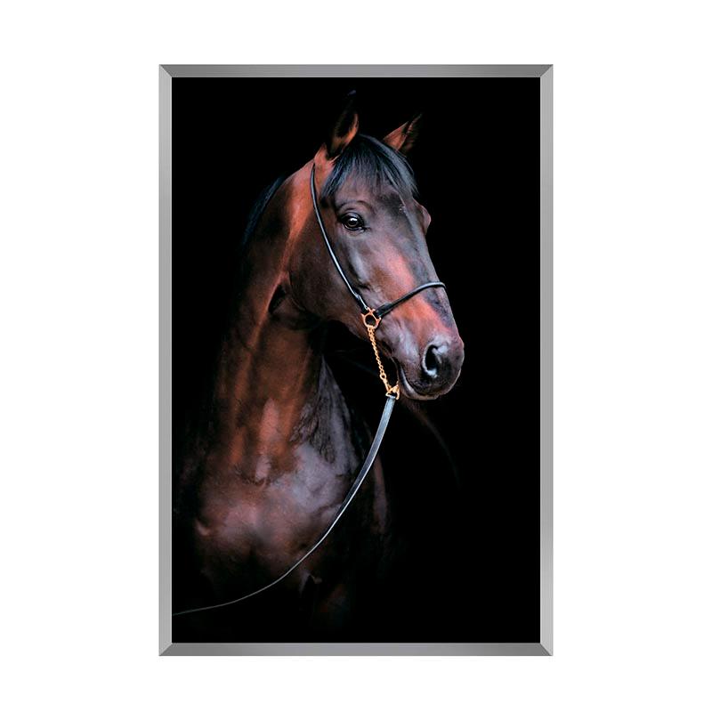 Argymak art-panel
